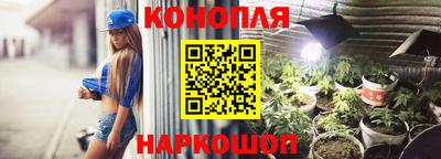 соль ск Будённовск