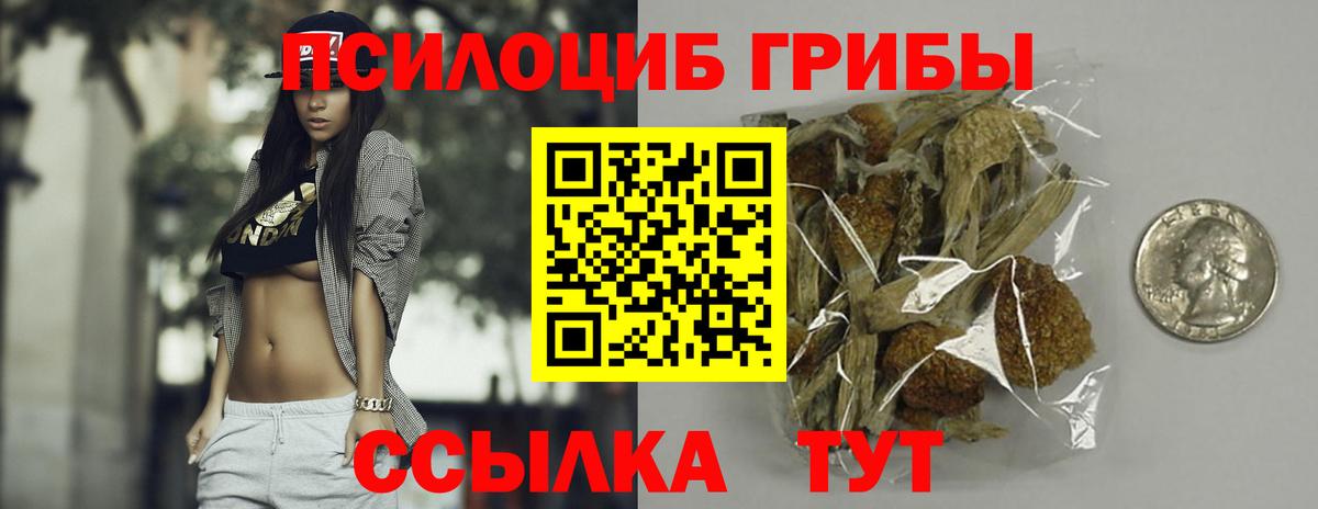 Галлюциногенные грибы Psilocybe Наро-Фоминск